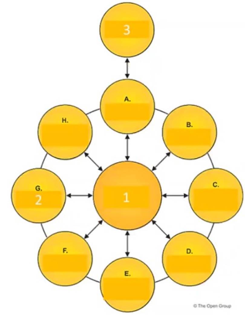 OGEA-101 dumps exhibit